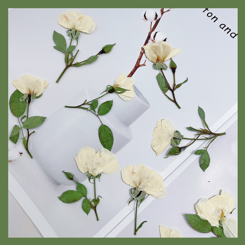12개, 자연스러운 흰색 분홍색 붉은 장미 가지, 실제 - Wedding Card Box 리뷰 및 가격
